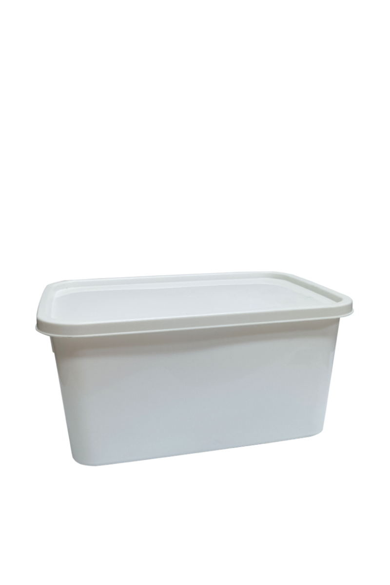 Container Ice Cream 2000ml TW-CT 207