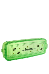 Container Pasta Bisa
